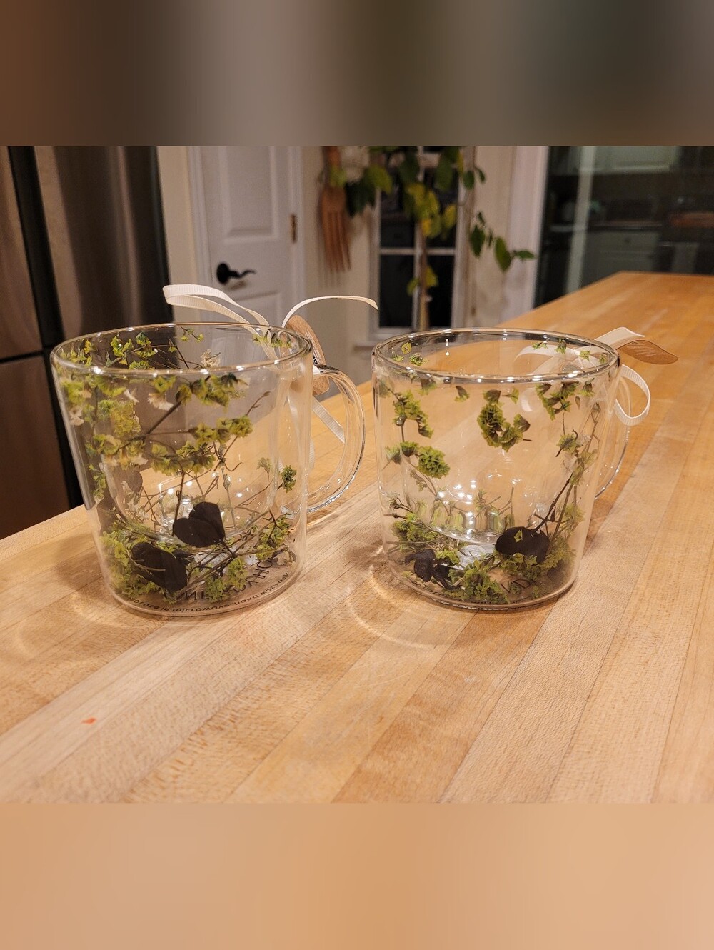 NEW Kwendy Home Clear Glass Botanical Accent Mug Set - Green Floral Design